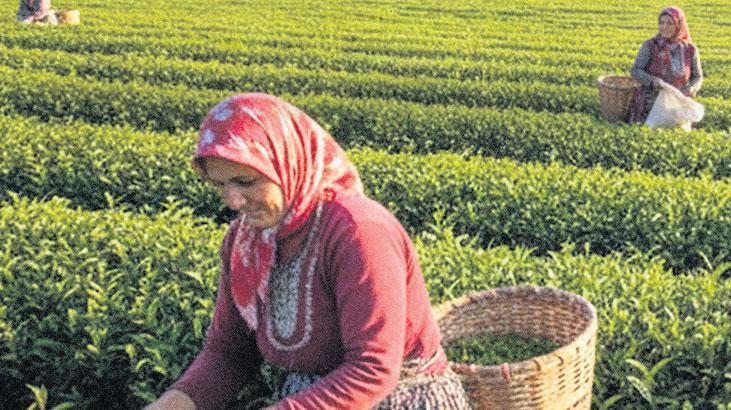 ciftci kadinlara ozel kredi veriyor ekuM3hLm.jpg