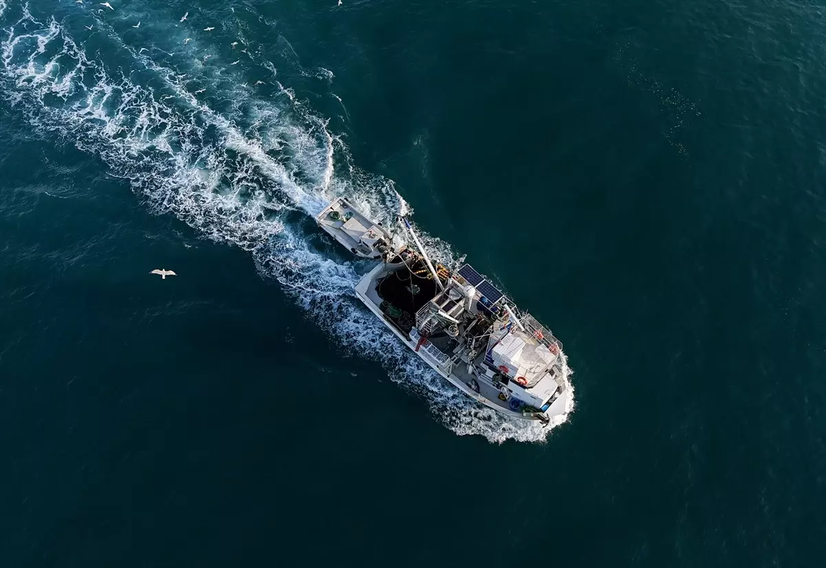 egeliler sardalya bereketiyle donuyor Fy2NCDL8.jpg