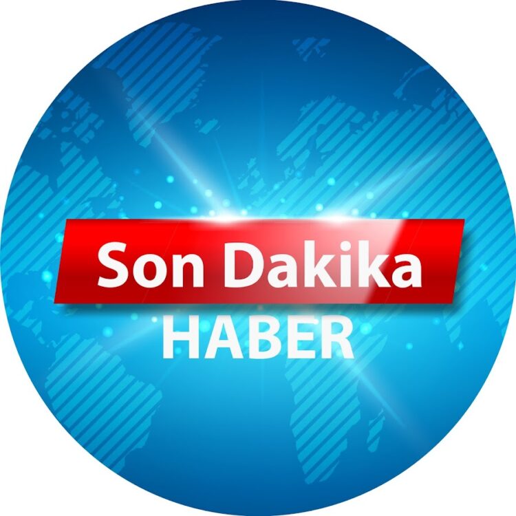 İstanbul’da bir evde bulunan 42 yılan koruma altına alındı